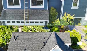 Elite Gold Contractors