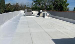 California Green Roofing