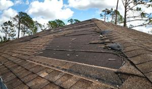 Roman Roofing