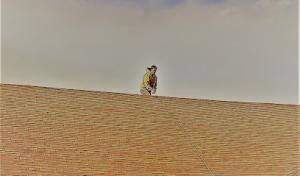Breit Roofing