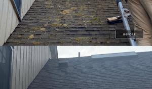 Reborn Roofing