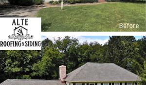 Alte Roofing