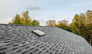 Baxter Williams Roofing