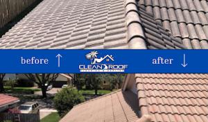 Clean Roof