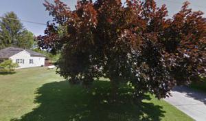 Lakeview Roofing