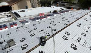 NS1 Roofing