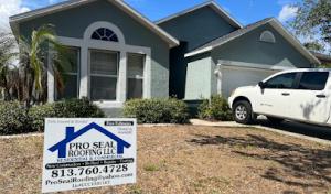 Pro Seal Roofing