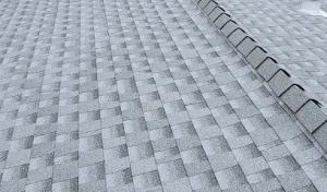 R.A.W. Roofing