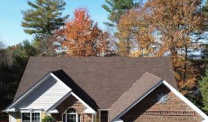 Hemlock Roofing