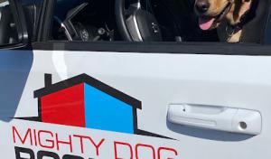 Mighty Dog Roofing of MetroWest Boston