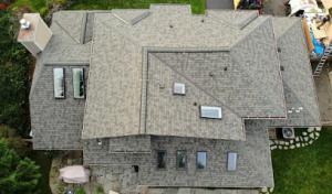 Next Level Roofing