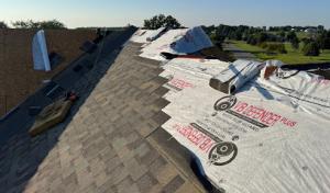 Modern Exterior Roofing