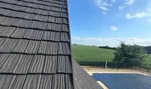Bull Exteriors