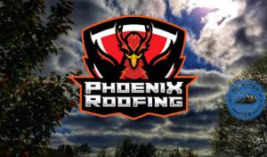 Phoenix Roofing