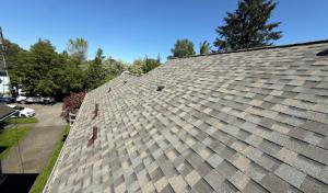 Roofscapes NW