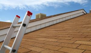 L.i.n.y. Roofing