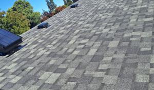 Nixon Roofing & Construction