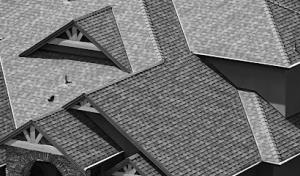 Fitz Roofing