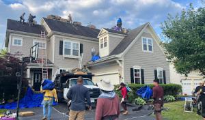 Top Dog Home Pro