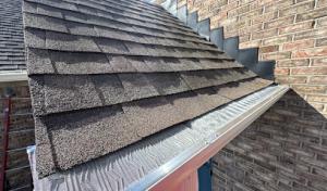 Bone Dry Roofing