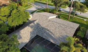 Roof Bear