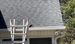 Rave Roofing & Renovations