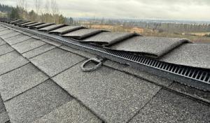 Honey Bee Roofing & Exteriors