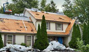 The Roof &