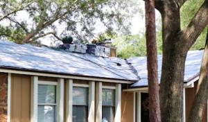 Beaver Home Services