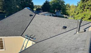 Rainshadow Roofing