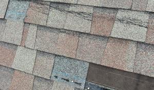 Reinhardt Roof Repair