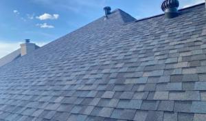 Action Roofing