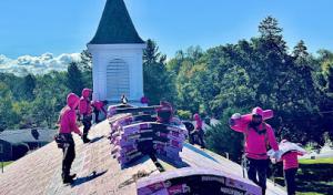 Pink Roofing