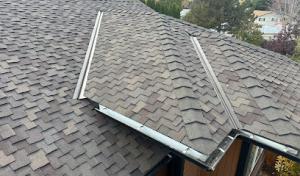 Blue Goat Roofing