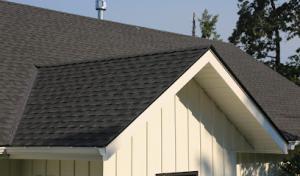 Renaissance Roofing