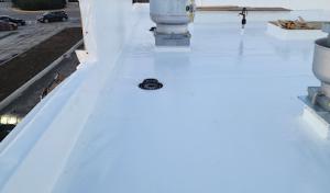 Strongback Roofing & Construction