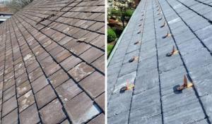 Springfield Roofing