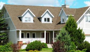 Alpha Roofing & Construction