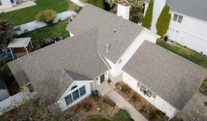 Beaver Roofing