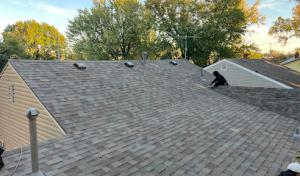 Flawless Roofing