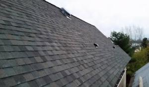 MLM Renovations