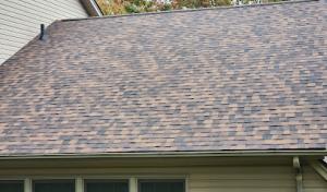 Spartan Roofing Services