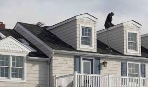 Al&rsquo;s Group Roofing