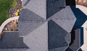 DesireeHome Roofing