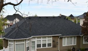 Vertex Roofing