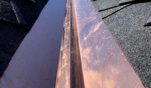 Bulldog Roofing