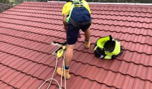 My Havertown Roofing Group