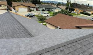 Silver Roofing Specialist