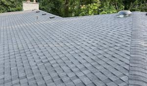Fritz Roofing Service