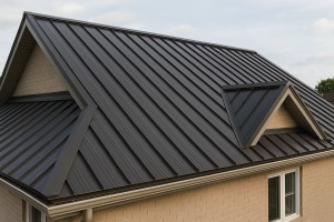 Metal Roofing